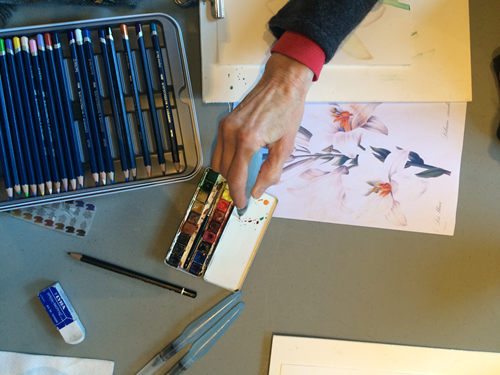 Collections - Atelier Dessin et aquarelle